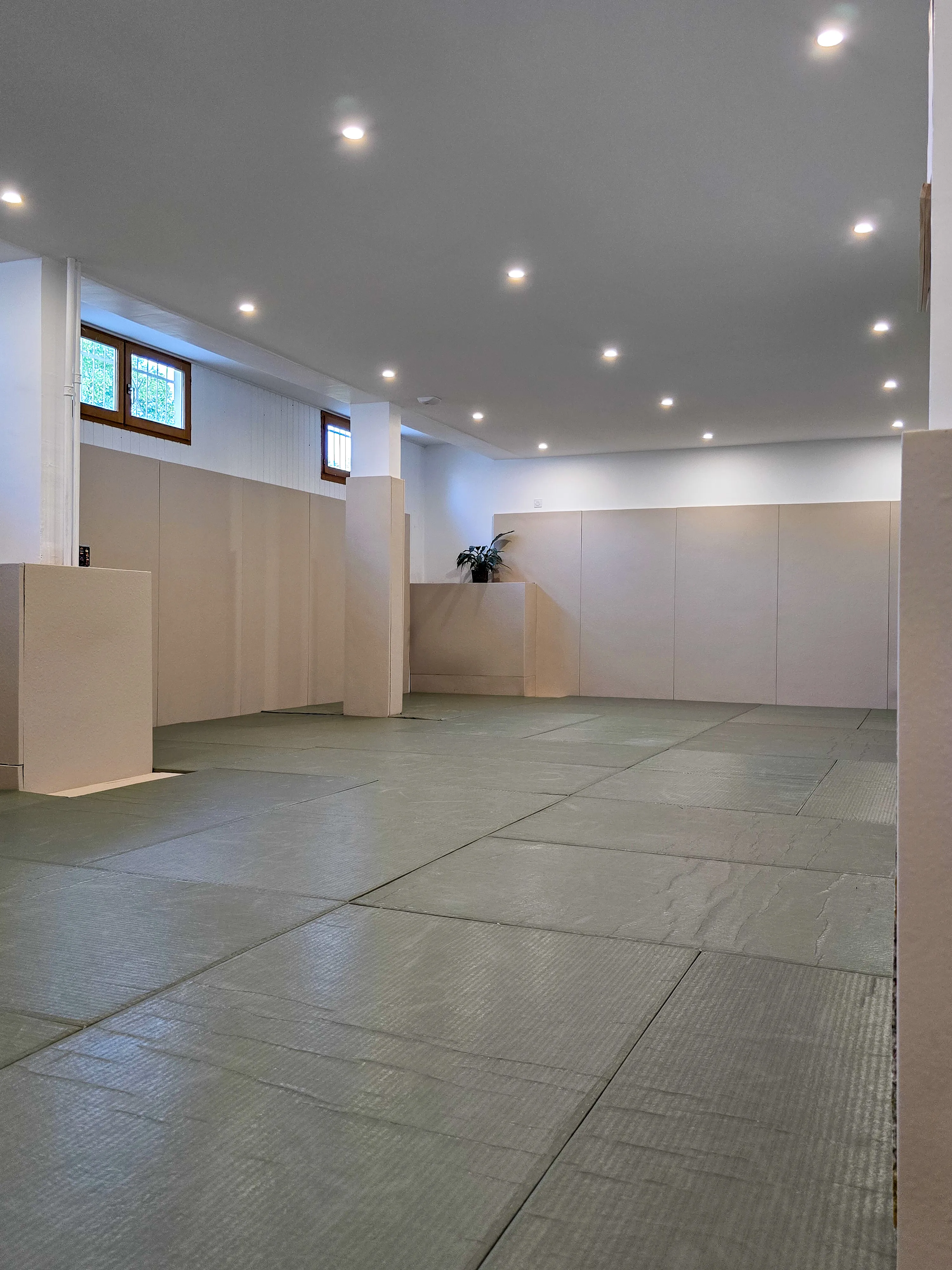Tatami d’entraînement de Next Level Jiu Jitsu Besançon